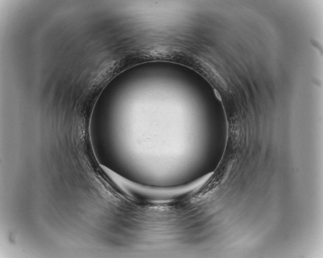 X0000094230593200710261258