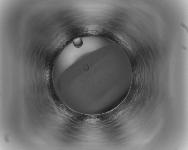 X0000094230595200710261258