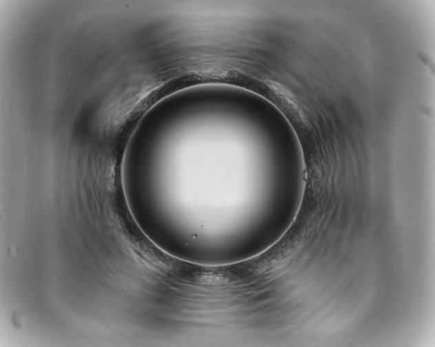 X0000094230596200710261258