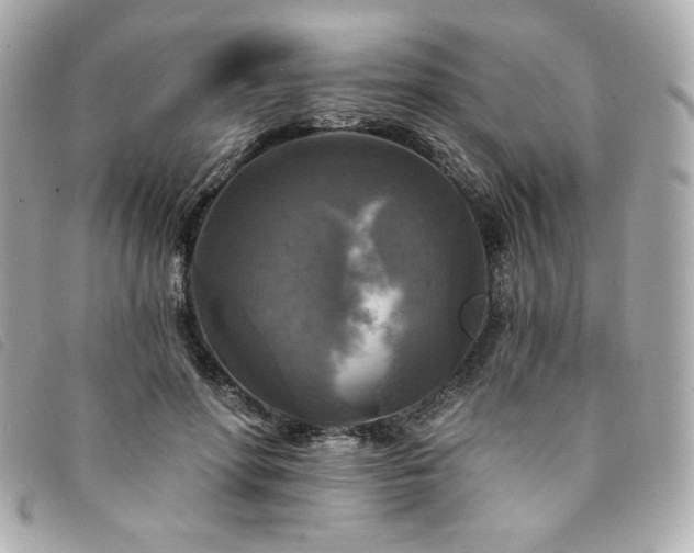 X0000094230598200710261258
