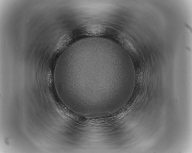 X0000094230599200710261258