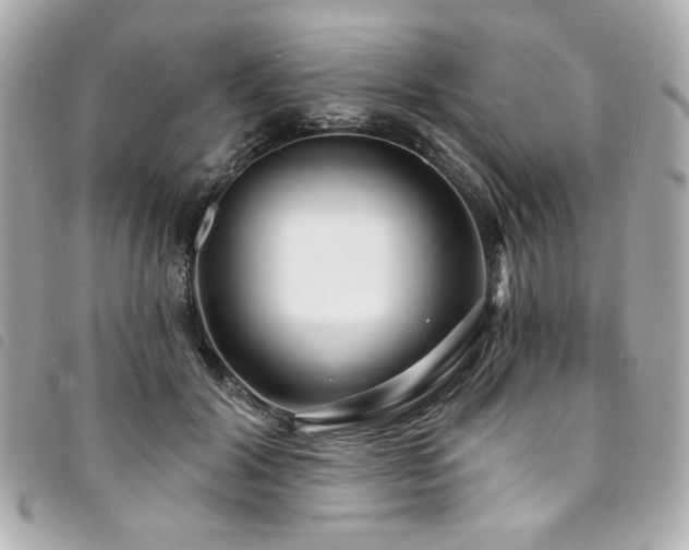 X0000094230604200710261257