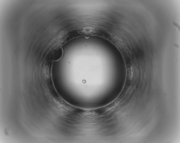 X0000094230606200710261257