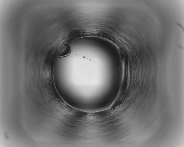 X0000094230608200710261257