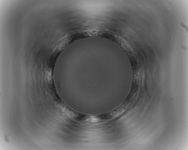 X0000094230610200710261257