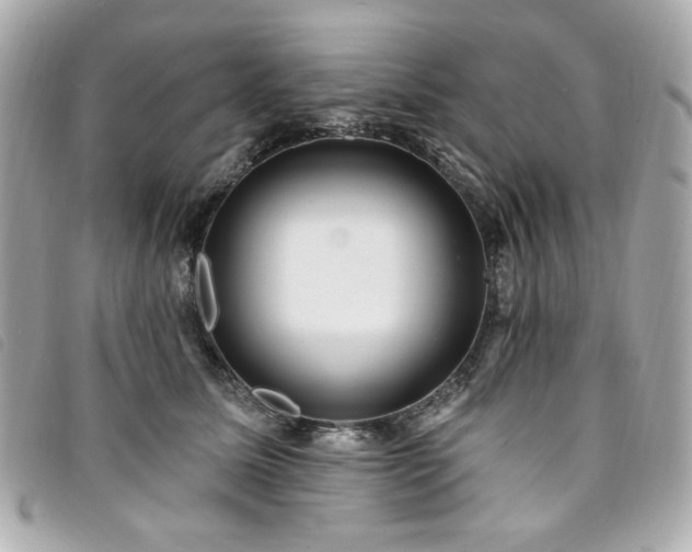 X0000094230611200710261257