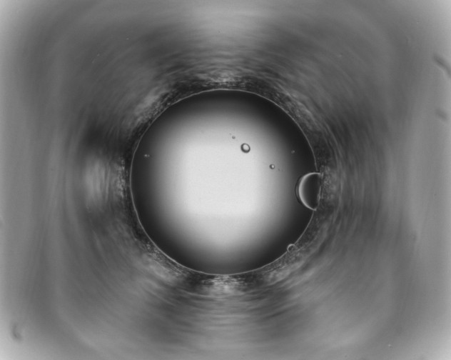 X0000094230612200710261257