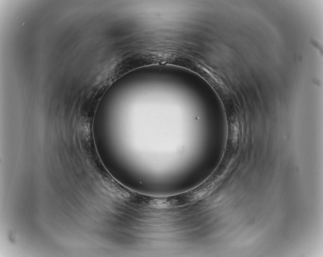 X0000094230613200710261257