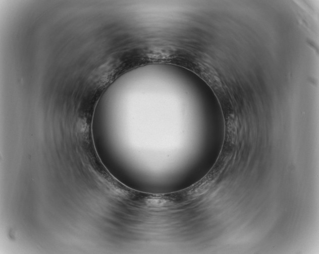 X0000094230614200710261257