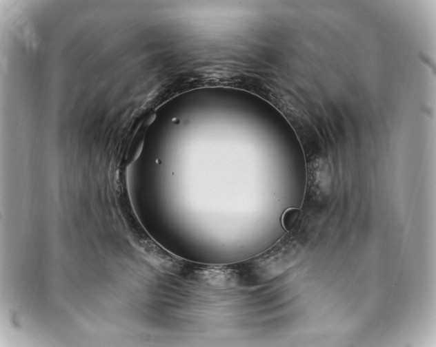 X0000094230615200710261257