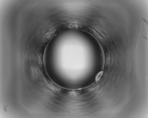 X0000094230616200710261257