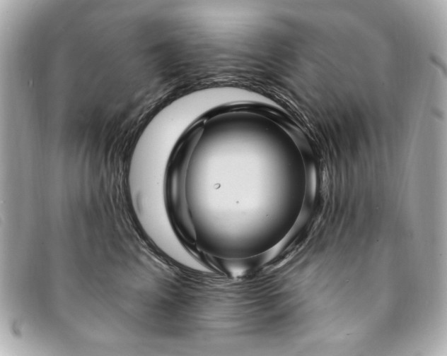 X0000094230617200710261257