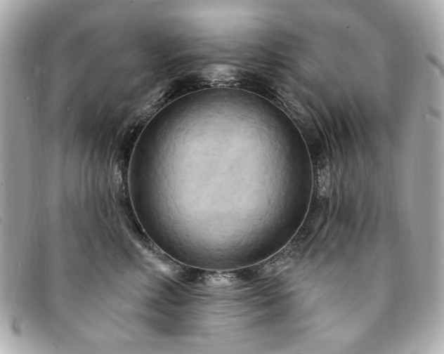 X0000094230618200710261257