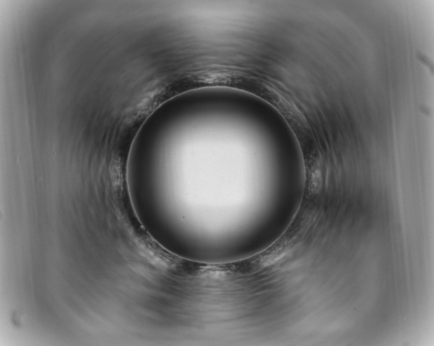 X0000094230620200710261257