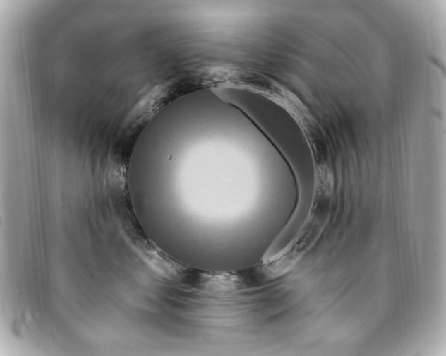 X0000094230621200710261257