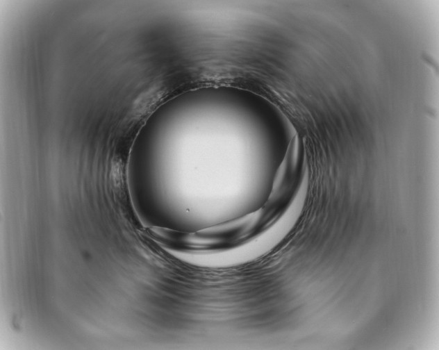 X0000094230623200710261257