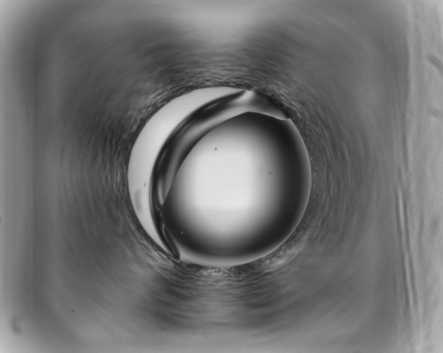 X0000094230624200710261257