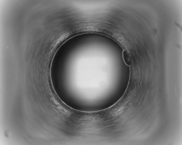 X0000094230625200710261257