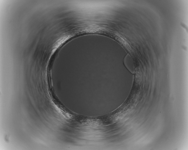 X0000094230626200710261257