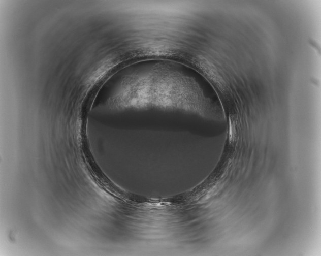 X0000094230627200710261257