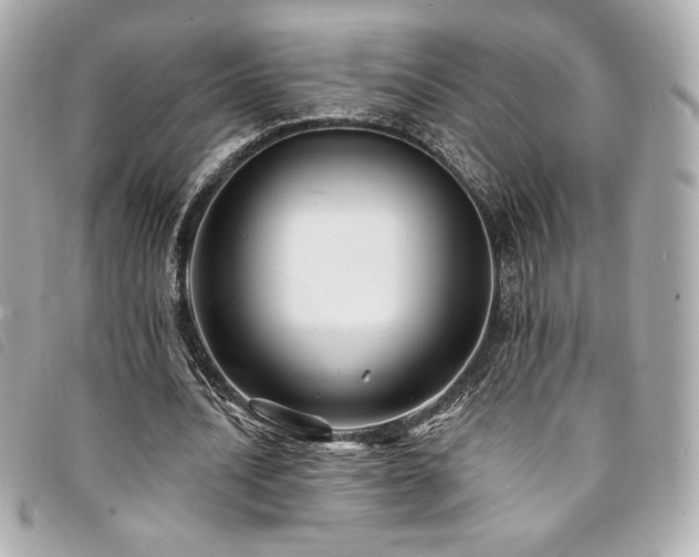 X0000094230628200710261257