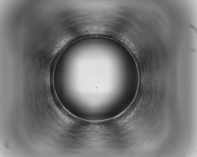 X0000094230629200710261257