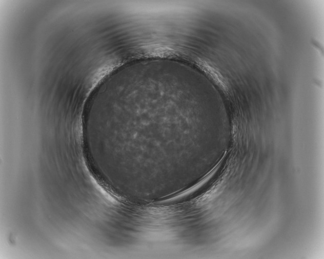 X0000094230630200710261257