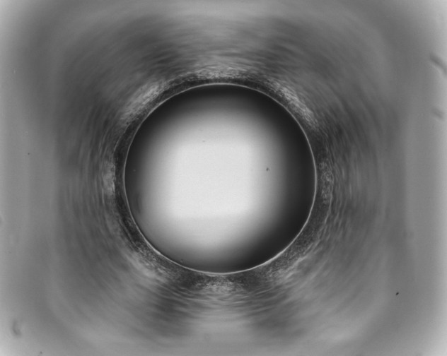 X0000094230631200710261257