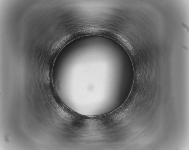 X0000094230633200710261257