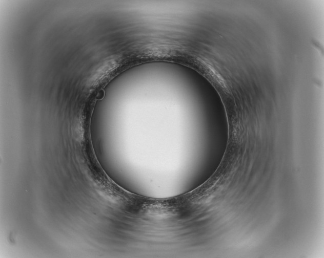 X0000094230635200710261257