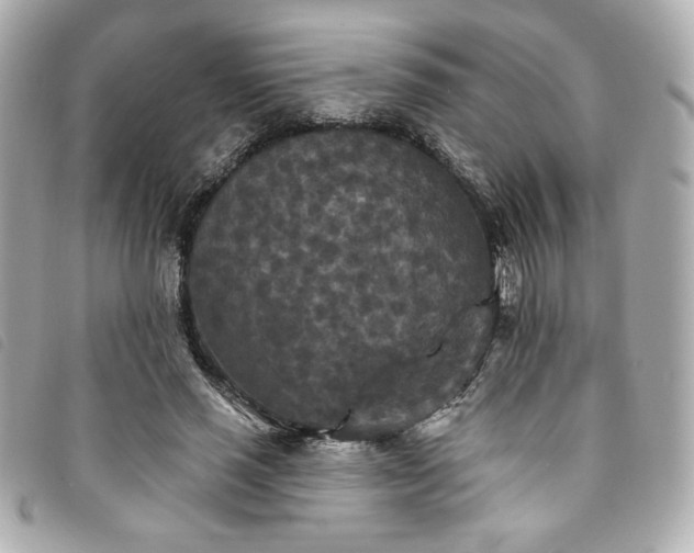 X0000094230637200710261257