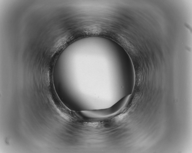 X0000094230638200710261257
