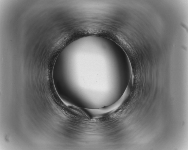 X0000094230639200710261257