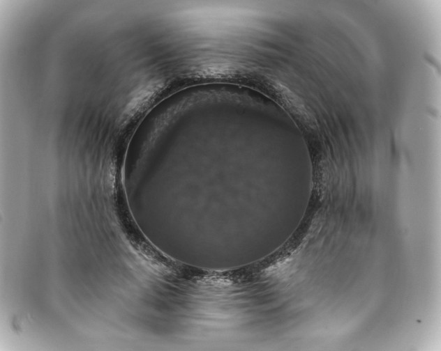 X0000094230640200710261257