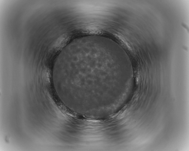 X0000094230643200710261257