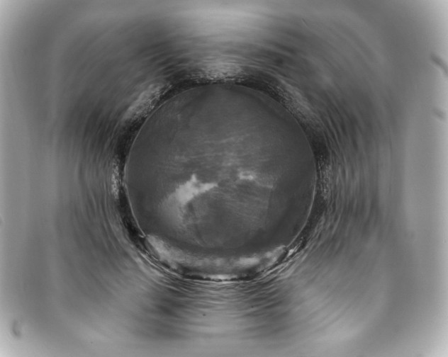 X0000094230644200710261257