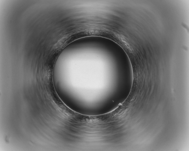 X0000094230645200710261257