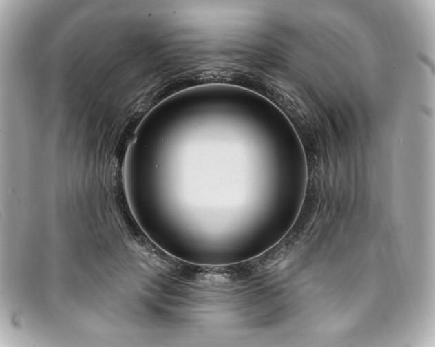 X0000094230649200710261257