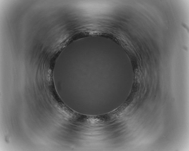 X0000094230650200710261257