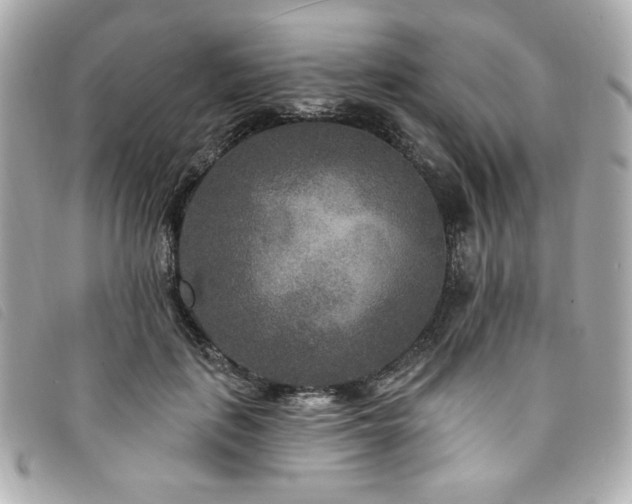 X0000094230651200710261257