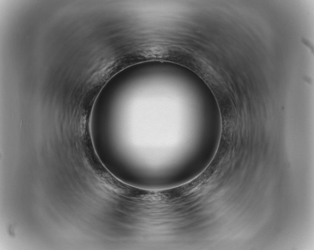 X0000094230652200710261257