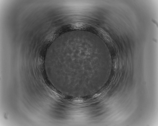 X0000094230653200710261257