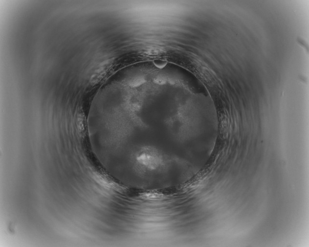 X0000094230654200710261257