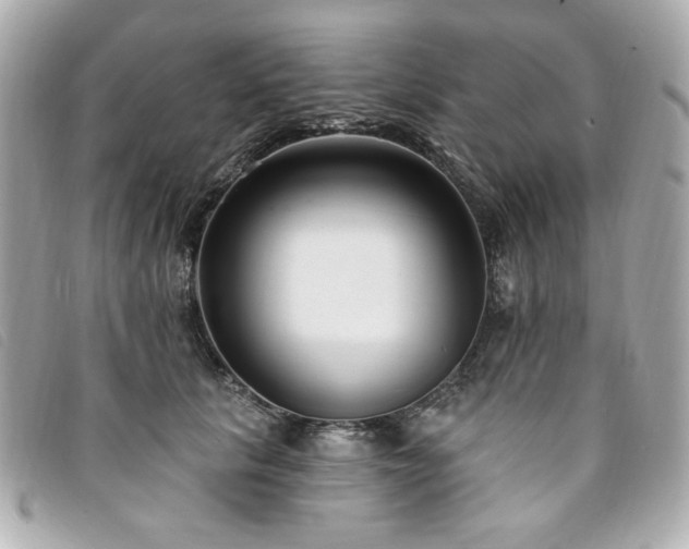 X0000094230657200710261257