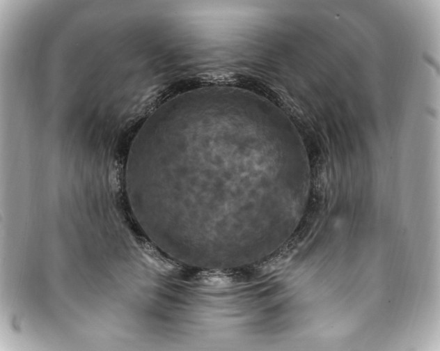 X0000094230658200710261257