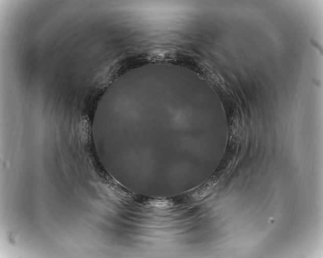 X0000094230659200710261257