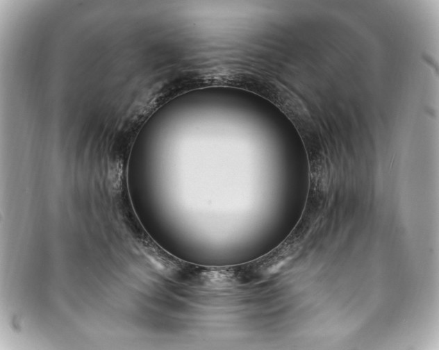 X0000094230660200710261257