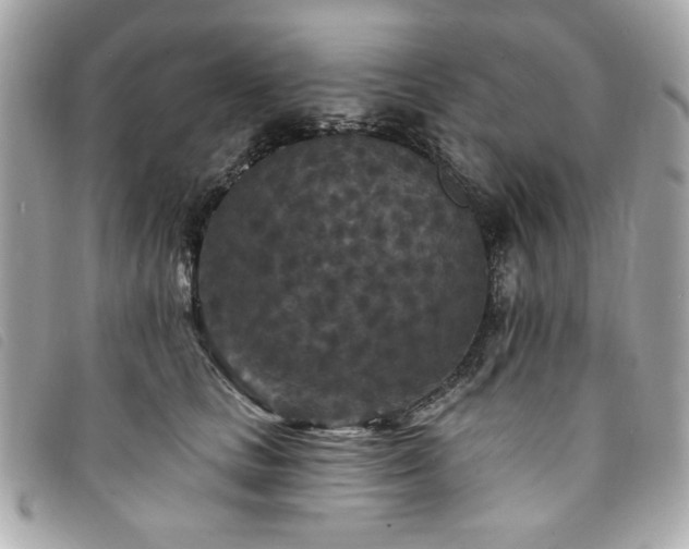 X0000094230661200710261257