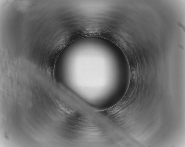 X0000094230662200710261257