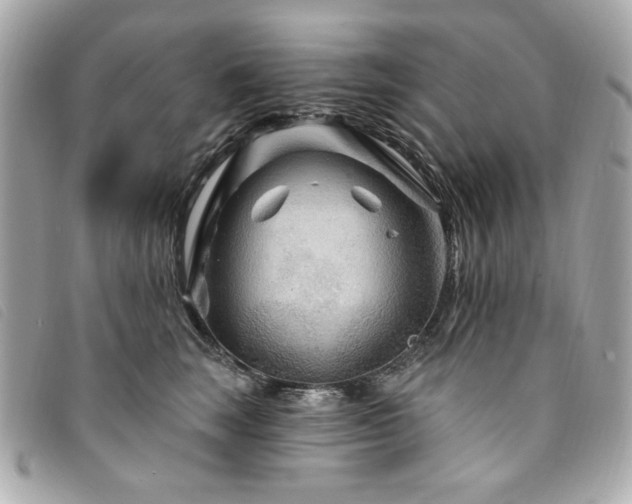 X0000094230663200710261257